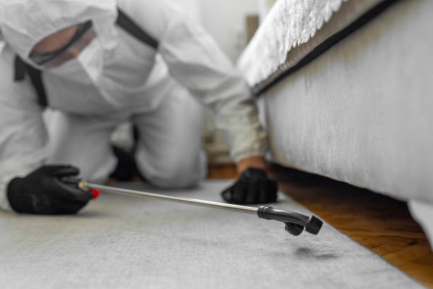 Professional Pest Control technician working in Great Neck Plaza, NY