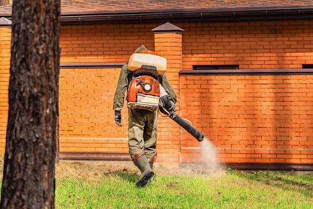Trusted Cockroach Control service in Great Neck Plaza, NY - Nex Pest Control